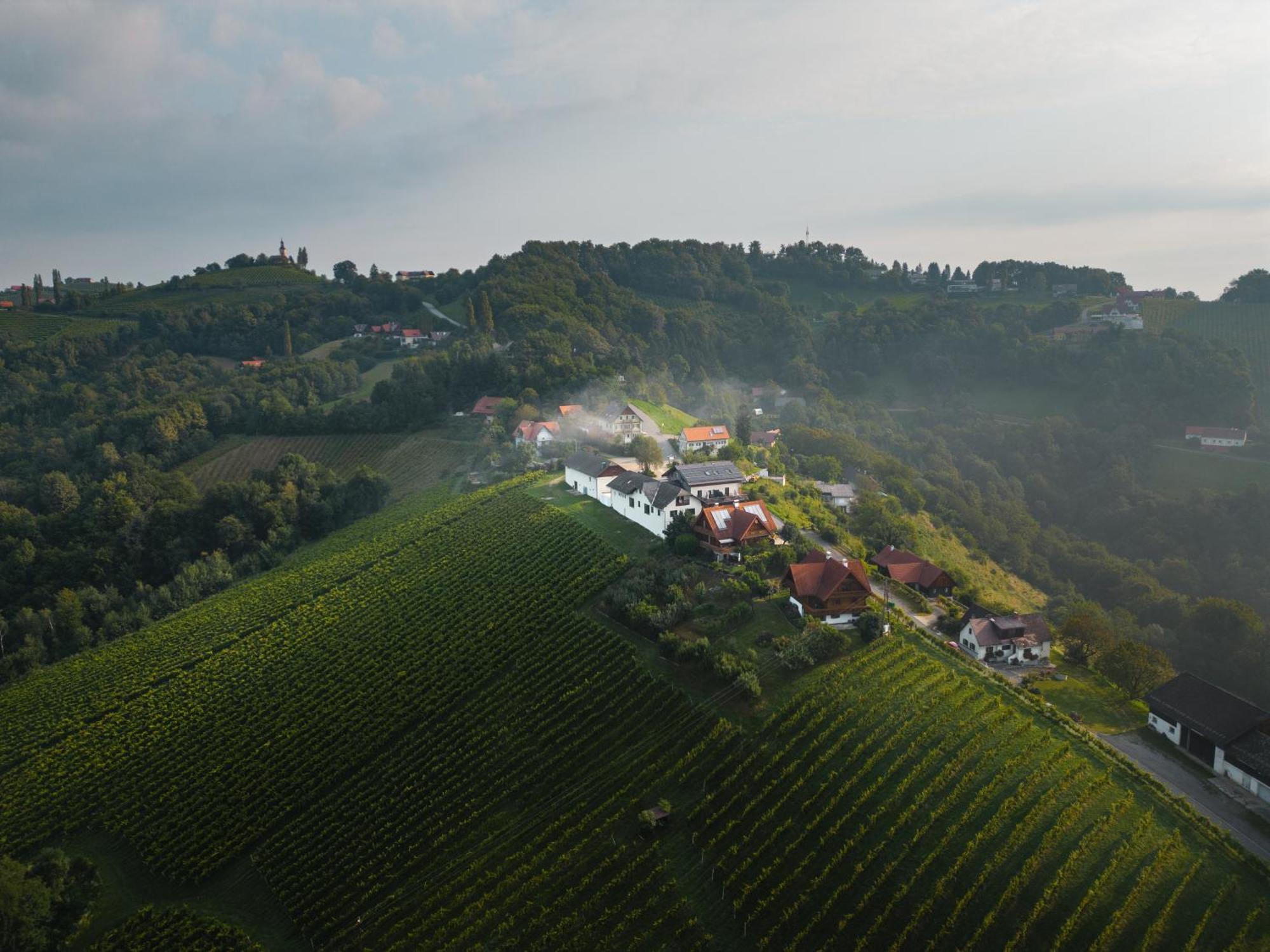 Das Weinkitz Kitzeck im Sausal Exteriör bild